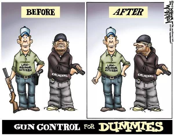 BEFORE AND AFTER GUN CONTROL.jpg
