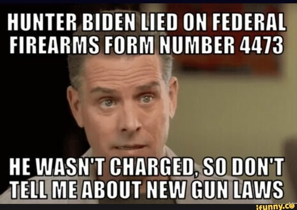 Hunter Biden gun felon.jpg