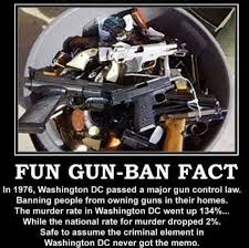 Gun Control in DC.jpg